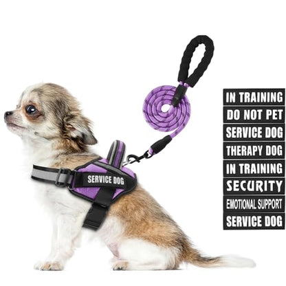Service Dog Harness and Leash Set, XS, Purple, with 10 Patches, Reflective, for Small Dogs - color: Purple, size: XS