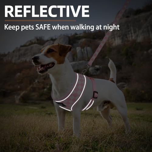 PUPTECK Soft Mesh Dog Harness and Leash Set Pet Puppy Cat Comfort Padded Vest No Pull Harnesses, Checkered Pink&White, XS - color: Checkered Pink&White, size: XS (NECK: 10", CHEST: 10"-14")