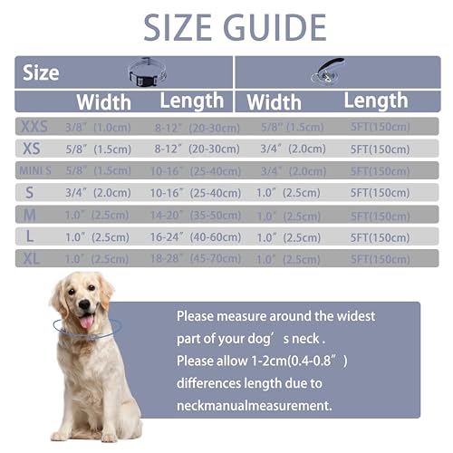 Reflective Dog Collar with Safety Locking Buckle, Adjustable Soft Breathable Nylon Collars for Small, Medium and Large Dogs(Collar+Leash XS Width 5/8" Gray) - color: Gray, size: X-Small (Width 5/8")