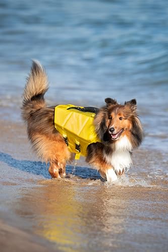 NOAH & PAW Dog Life Jacket, Human Standards Lifejacket Design, Dog Life Vest for Swimming and Boating, 3X Foam Support for Max Floating, Breathable Mesh, Salvavidas para Perros, Size M - size: M