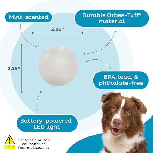 Outward Hound by Planet Dog Strobe Ball Glo Light Up LED Ball Dog Toy - color: Glow in the Dark Strobe Toy