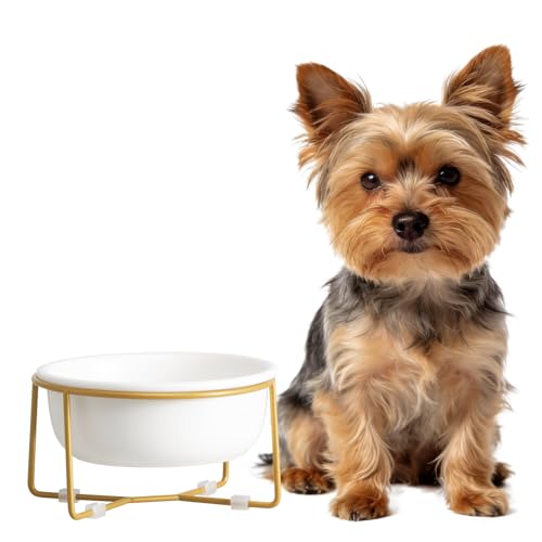 Elevated Ceramic Dog Bowl with Metal Stand - Raised Feeding Dish for Small Dogs and Cats - Ideal for Food or Water - Each Holds 400ml / 2 Cups (Approx. 200g) - White - color: White-Flat, size: Small