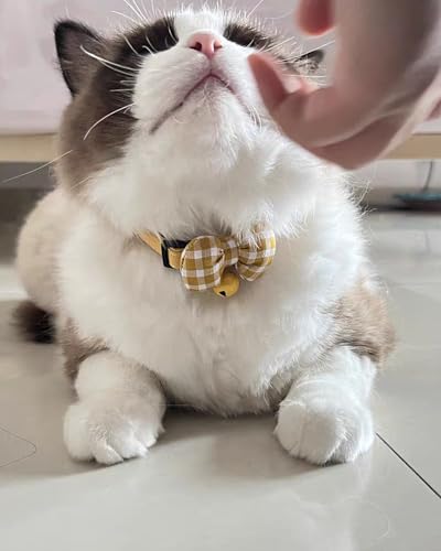 2 Pack Soft Breakaway Safety Cat Collar，Kitten Collar with Bell and Bow Tie,Adjustable Breakaway Cotton Collar for Kitty and Puppy (Plaid-Yellow Green) - color: Plaid-Yellow Green