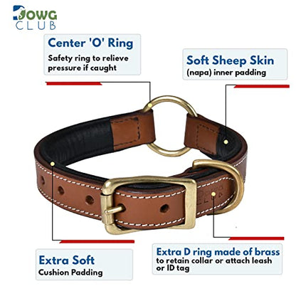 | Genuine Leather Adventure Dog Collar | Full Grain, Heavy Duty | With inner Cushioned padding | Best for Medium, Large & XL Dog (Medium (Fit Neck Size 14.5"-18.5"), Brown With Center O Ring) - color: Brown With Center O Ring, size: M (Fit Neck Size 14.5"