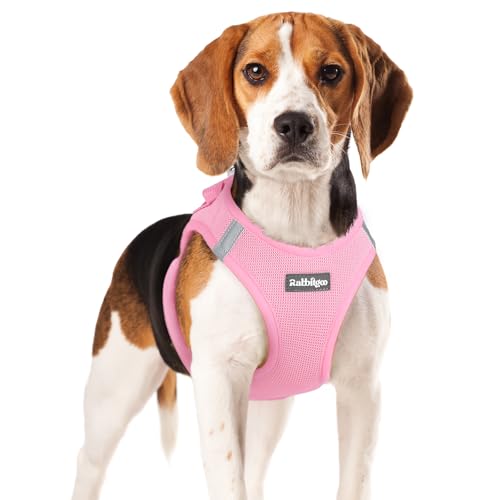 rabbitgoo Small Dog Harness, Step-in Soft Mesh Puppy Vest with Safety Buckle, Breathable Reflective Pet Harness for Small Medium Dogs, Light Pink XL - color: Light Pink, size: Xl(chest:20.0"-21.8")
