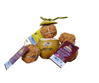 Nutties for Dogs - Natural Coconut Fiber Ball Toy and Magic Toothbrush - 2 Sizes (Small) - size: Small