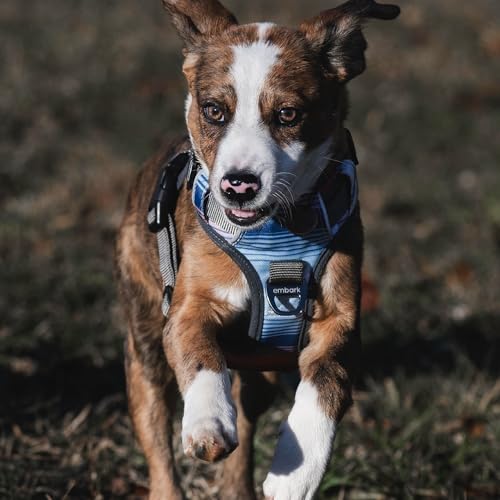 Embark Adventure Small Dog Harness – No-Pull, Reflective Trim, Military-Grade Nylon, Front Clip with Gel-Lined Handle - color: Santa Monica, size: S