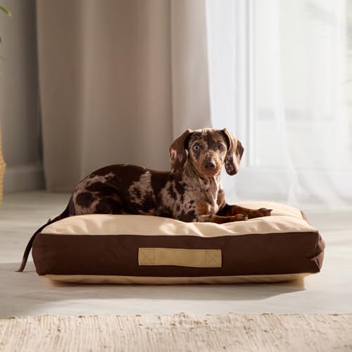 Rawry Orthopedic Dog Bed | Memory Foam Dog Bed with Handle | Water-Resistant, Machine Washable Cover | Floor Cushion for Cats, Dogs & People - Tan/Brown (Small - 24" x 18") - size: Small