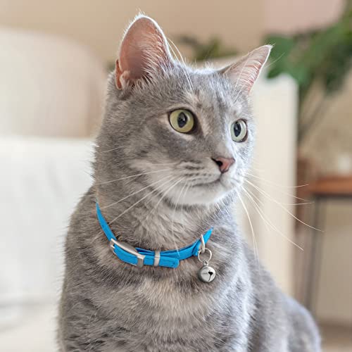 CollarDirect Leather Cat Collar with Removable Bell – Safety Elastic Strap (Breakaway Alternative) – Kitten Collar for Small & Big Boy & Girl Cats - color: Light Blue, size: 6-7 Inch
