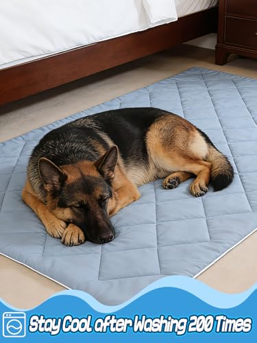 40x60in Large Cooling Blanket for Dogs - Machine Washable Soft Blanket with Q-MAX>0.4, Fits Medium Large Dogs, Summer Cooling Mat for Dog Kennel Car Seat Indoor Furniture Couch Sofa Protector - size: 40x60in