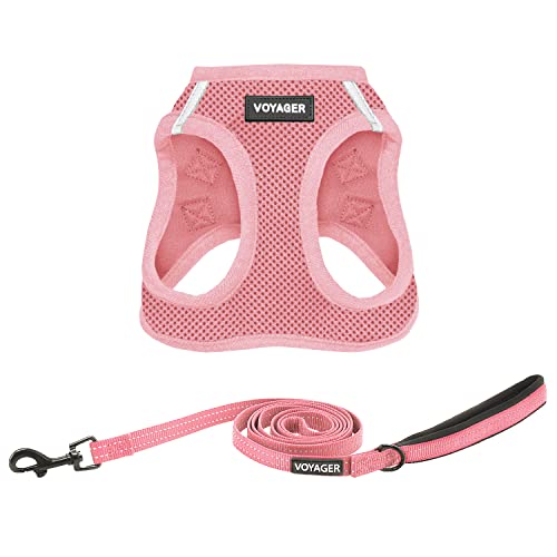 Best Pet Supplies Voyager Step-in Air All Weather Mesh Harness and Reflective Dog 5ft Leash Combo with Neoprene Handle, for Small, Medium and Large Breed Puppies - Set (Pink), XXX-Small - color: Harness Leash Set (Pink), size: XXXS (Chest: 10 - 11.5")
