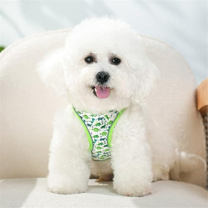 Step in Dog Harness No Pull Dinosaur Adjustable Soft Mesh Padded Reflective Pet Vest Harness and Leash Set for Small Medium Dogs - color: Green, size: XXS(neck:8.5"-9.5",chest:10"-11.5")