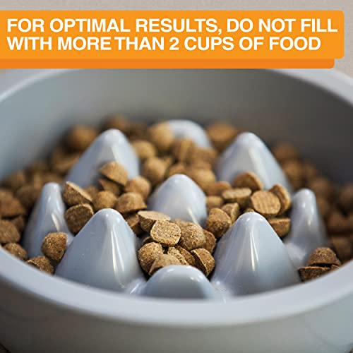 The Niner Slow Feed Bowl - Raised Peaks Slow Down Pets Eating - Fits Elevated Feeders Including Neater Feeder Large Sizes - Gentle on Teeth and Gums - Holds up to 2 Cups (Silver) - color: Silver