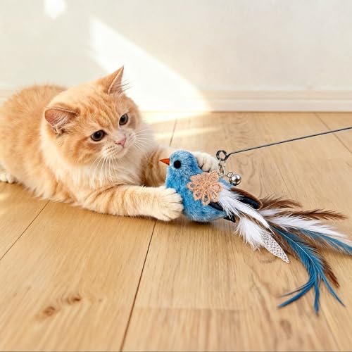 10PCS Cat Bird Toy Refills Feather Cat Wand Attachments with Bell, Interactive Cat Toys for Indoor Cats Kittens, Kitty - color: 10PCS Birds