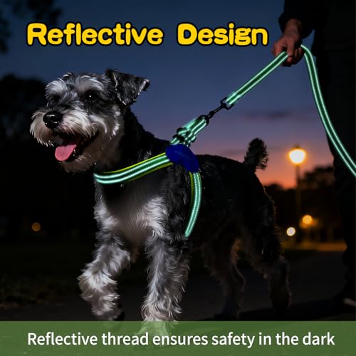 Kazazoo No Pull Small Dog Harness and Leash Set, Adjustable Puppy Soft Vest Harness with Breathable Mesh Padded, Reflective Lightweight Harness with Buckle for Small Medium Dogs, Green M - color: Green, size: M