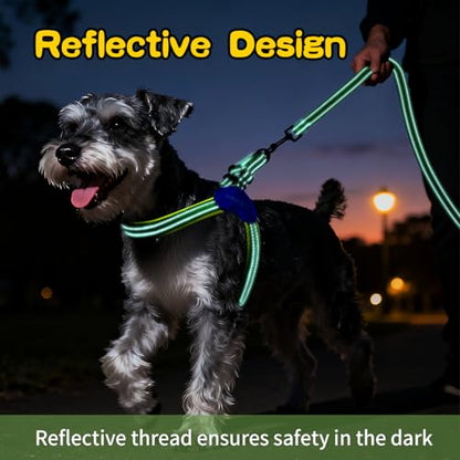 Kazazoo No Pull Small Dog Harness and Leash Set, Adjustable Puppy Soft Vest Harness with Breathable Mesh Padded, Reflective Lightweight Harness with Buckle for Extra Small Medium Dogs, Green S - color: Green, size: S