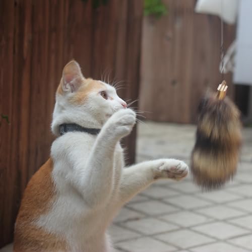 Fosrion Real Raccoon Tail Fur Cat Bites Toy with Three Section Retractable Carbon Fiber Rod (Raccoon, Tail & Fishing Rod) - color: Raccoon