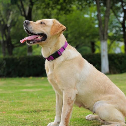 Waterproof Dog Collar, Easy to Clean Rubber Dog Collars with Quick Release Buckle Fits Small Medium or Large Dogs (Purple, M < 11.8-18.5 inch) - color: Purple, size: M (11.8-18.5 inch)