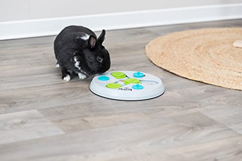 TRIXIE Rabbit Activity Slide and Fun Board, Strategy Game, Interactive Toy, Small Animal Puzzle, Mental Stimulation