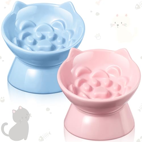 Funnymoom 2 Pcs Ceramic Raised Slow Feeder Cat Bowl, 5.91inch Elevated Cat Slow Feeder Bowl Tilted Anti Vomiting for Dry Wet Food and Water Easy to Clean High Edge(Pink, Blue) - color: Pink, Blue