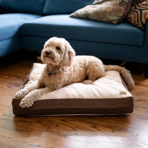 Rawry Orthopedic Dog Bed | Memory Foam Dog Bed with Handle | Water-Resistant, Machine Washable Cover | Floor Cushion for Cats, Dogs & People - Tan/Brown (Medium - 30" x 24") - size: Medium