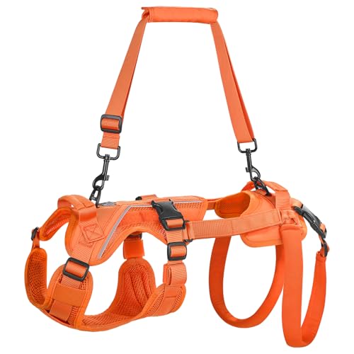 OneTigris Dog Lift Harness for Small Dogs XS, Dog Sling Carrier for Small Dogs, Full Body Lift Vest with Reflective Straps, Support Harness for Back Legs (Orange, XX-Small) - color: Orange, size: XX-Small