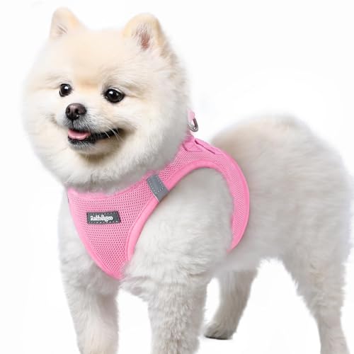 rabbitgoo Small Dog Harness, Step-in Soft Mesh Puppy Vest with Safety Buckle, Breathable Reflective Pet Harness for Small Sized Dogs, Light Pink S - color: Light Pink, size: S(chest:15.1"-16.5")