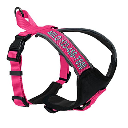 Pawtitas Reflective Padded Dog Harness for Small Dogs – Adjustable Puppy Step-in Vest | Fits Chest 18–22 in | No Pull Personalized Training Harness | S | Pink - color: Pink, size: Personalized Small (Pack of 1)