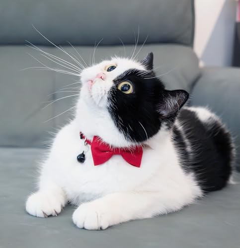Cat Collar with Bow Tie Bell Breakaway Bowtie 2pcs Set Spring Plaid Flower Floral Solid Boy Girl Cute Kitten Safety B [Plaid & Solid] Pink - color: B [Plaid & Solid] Pink