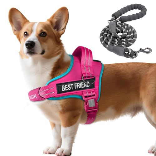 AUROTH Dog Harness and Leash Set, Soft Padded Service Dog Vest with 5.25FT Dog Leash, No Choke, Easy On Pet Vest, Adjustable Reflective No Pull Dog Harness Small Sized Dog, Easy Walking and Training - color: Rose Red, size: Small
