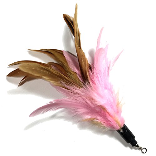 Pet Fit for Life 7 Piece - Plus Bonus - Replacement Feathers and Soft Furry for Interactive Cat and Kitten Toy Wands… - style: 7 Piece Assortment