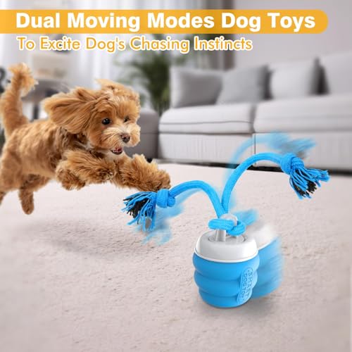 Interactive Dog Toys Ball - Fun Moving Dog Toys to Keep Them Busy | Rechargeable Smart Automatic Dog Ball for Large, Medium, and Small Puppy Dogs for Boredom, Blue