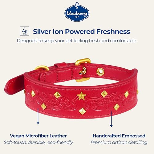 Blueberry Pet Premium Embossed Red Glam Silver-Powered Freshness Microfiber Leather Dog Collar with Gold Studs - color: Red, size: Small