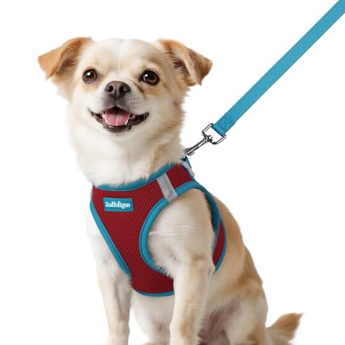 rabbitgoo Dog Harness Small Sized and Leash Set, Step-in Breathable Pet Harness, Soft Walking Reflective Puppy Vest for Small Dogs, Red & Teal, XXS - color: Red & Teal, size: XXS (Chest: 12.4 - 14.2")