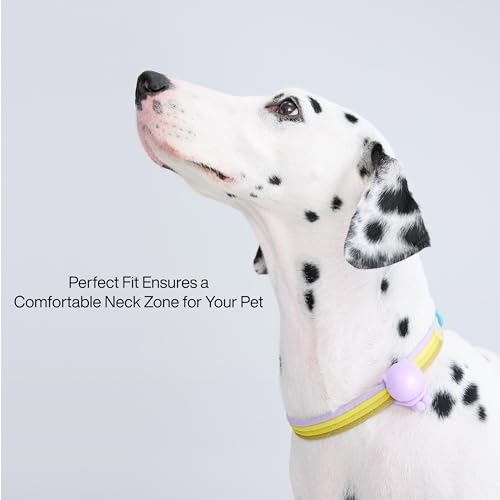 Premium Dog Collar Adjustable Soft Neoprene Padded Collar with Quick-Release Buckle for Small Medium Large Dogs