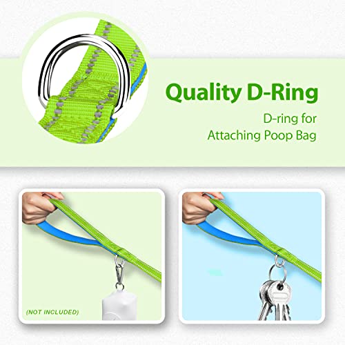 PHOEPET 5 Feet Dog Leash - Dual-Side Reflective - Soft Padded Handle - Fit for Walking, Training or Exploring Hiking, Camping (Green + Blue Base) - color: Green + Blue Base