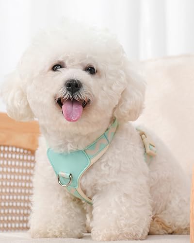 Petank Blue Medium Dog Harness for Medium Dogs, No Pull Dog Harness with 2 Leash Clips,Puppy Harness, Adjustable Dog Vest Harness (Blue, M) - color: Blue, size: M