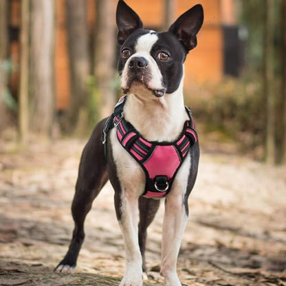 rabbitgoo Dog Harness Small Sized, No Pull Dog Vest with 3 Buckles, Adjustable Soft Padded Pet Harness with Easy Control Handle and Reflective Strips, Pink, S - color: Pink, size: Small