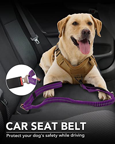 Joytale Tactical Dog Leash Heavy Duty, 4-6FT Shock Absorbing Bungee Lead with 2 Padded Handle, Metal Carabiner Clip, Car Seatbelt, Strong No Pull Leash for Medium Large X-Large Dogs, Purple - color: Purple