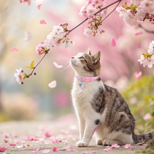BINGPET Breakaway Cat Collar with Bell, 3 Pack Cat Collars for Girl Cats, Cute Kitty Collars Accessories with Butterfly & Flower & Bee - color: Flower Garden-3pcs