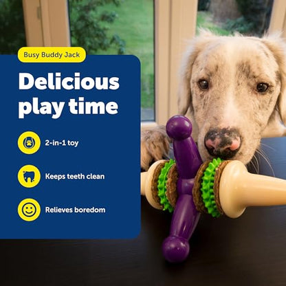 PetSafe Busy Buddy Jack - Treat Holding Dog Chew Toys - Helps Clean Teeth - Vanilla Scented Rubber for Strong Chewers - Treat Refills Included, Interactive Dog Toy Helps Keep Dogs Busy, Purple, Medium - size: Medium, style: Treat Holding Jack
