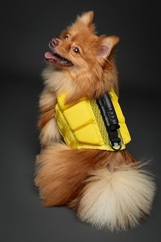 NOAH & PAW Dog Life Jacket, Human Standards Lifejacket Design, Dog Life Vest for Swimming and Boating, 3X Foam Support for Max Floating, Breathable Mesh, Salvavidas para Perros, Size S - size: S