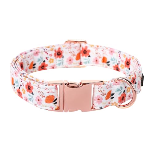 Lionet Paws Dog Collar, Adjustable Cute Collar with Metal Buckle for Male Female Puppies,Summer Flower, XS, Neck 8-12 inches - color: Summer Floral, size: X-Small (Pack of 1)