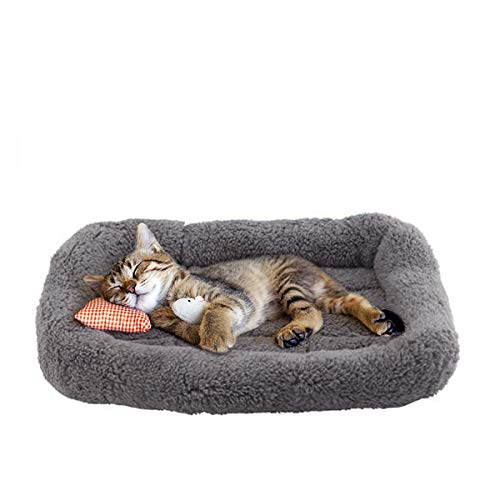 Cat Mat Bed 10" x 15" Pet Bed with Pillow Around for Puppy Kitten Curled Sleeping Beds for Carrier/Crate Small Dog Cushion, Anti Skid Bottom, Small - size: Small(Rectangular)