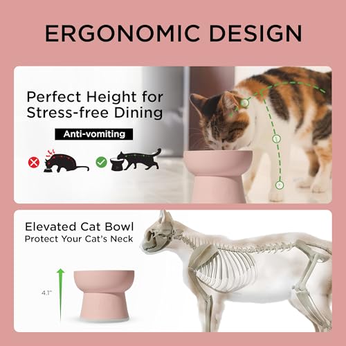 Necoichi 2pcs Elevated Cat Water Bowls with Measurement – BPA-Free Plastic Raised Bowls to Reduce Whisker & Neck Fatigue – Dishwasher Safe – Non-Slip, Anti-Vomiting (Bloomy) - color: Green and Pink (Bloomy)
