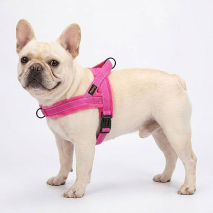 Didog Soft Flannel Padded Dog Vest Harness, No Pull/Quick Fit Reflective Dog Strap Harness, Easy for Training Walking (S:Chest 18-22", Hot Pink) - color: Hot Pink, size: S:chest 18-22"
