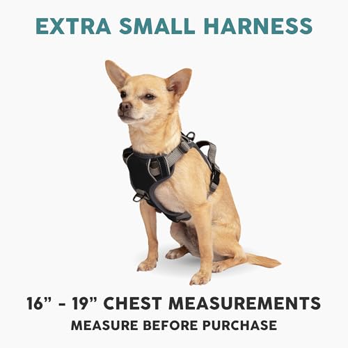 Embark Adventure Dog Harness for Small, Medium & Large Dogs – No Pull, Reflective Trim, Military Grade Nylon, 2 Leash Clips, Gel-Lined Handle, Soft Padded - color: Black, size: XS