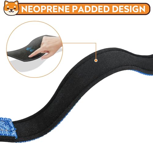 Reflective Dog Collar, Adjustable Soft Neoprene Padded Nylon Pet Collars with Buckle for Puppy and Small Dogs, Cats, Navy Blue,XS - color: Navy Blue, size: X-Small