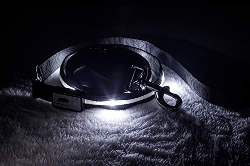 BLAZIN Light Up Dog Leash LED - 1,000 Feet of Visibility - USB Rechargeable Waterproof Glow in The Dark Dog Leash - 6 Foot, Black