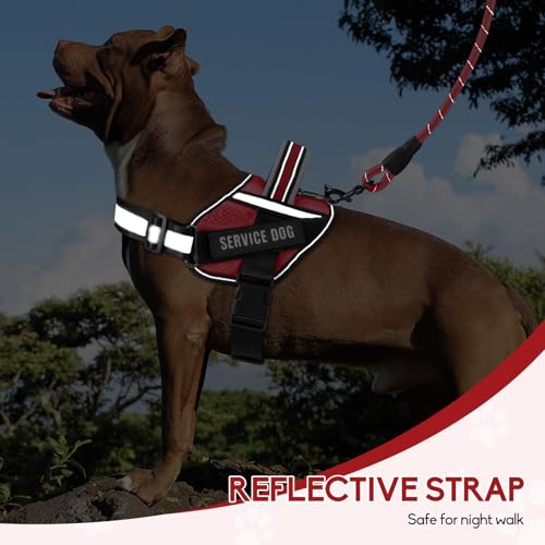 Service Dog Vest Harness and Leash Set, Animire in Training Dog Harness with 10 Dog Patches, Reflective Dog Leash with Soft Padded Handle for Small, Medium, Large, and Extra-Large Dogs - color: Red, size: XXS